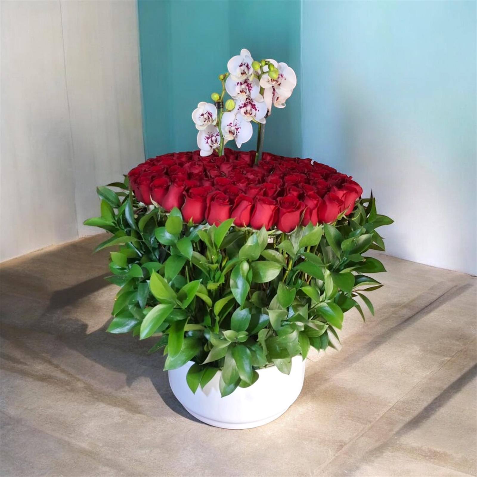Orquidea blanca con 200 rosas rojas en base de cerámica blanca